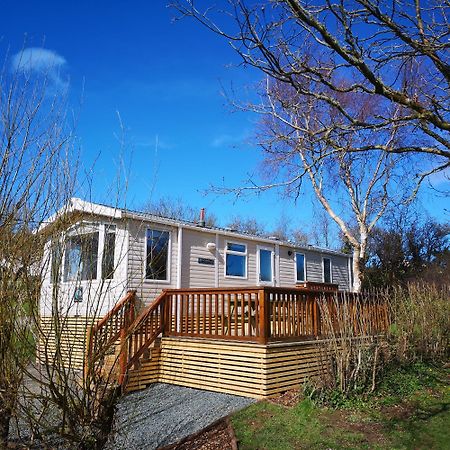 Red Squirrel Holiday Home In The Countryside, 10 Mins To Lligwy Beach Llandyfrydog Экстерьер фото