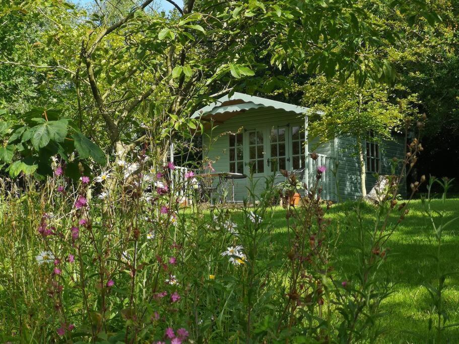 Red Squirrel Holiday Home In The Countryside, 10 Mins To Lligwy Beach Llandyfrydog Экстерьер фото